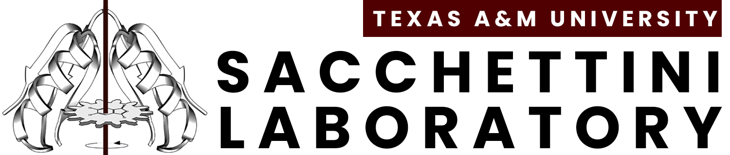 SACLab | TAMU